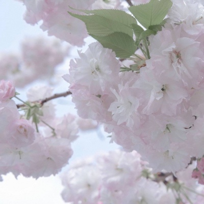 兽设场景氛围营造教程兽圈社群